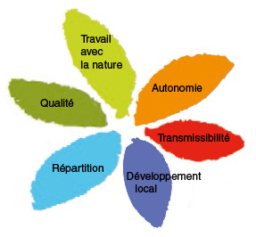margueritte répartition